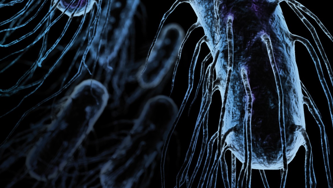 DRINKING WATER HYGIENE