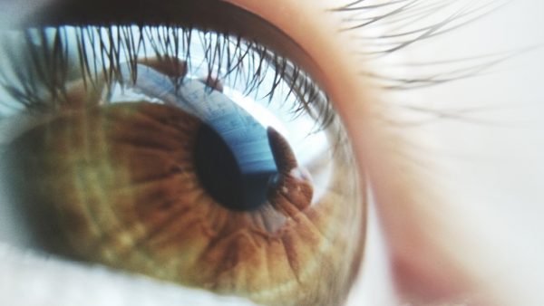 עיניים חומות מביטות לאופק